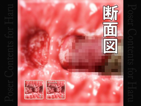 Sectional View of Vaginal for Haru(Chocoンとこ) - FANZA同人