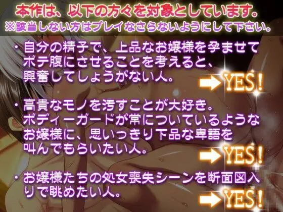 高貴なお嬢様を片っ端から孕ませたら、どうなるか?(すたじおもみじ) - FANZA同人