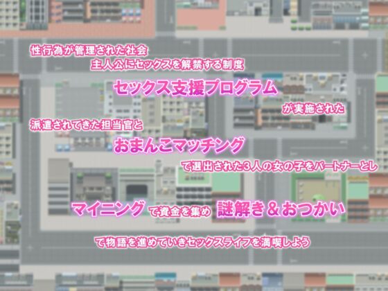 セックス支援プログラム 〜おまんこマッチングで選ばれた娘たちと100％合法エッチ〜(スタジオアルペ) - FANZA同人