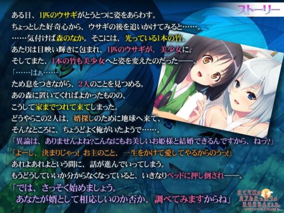 かぐや姫はバブみたっぷりのロリBBAでした。〜うさみみメイドと責められムコ殿〜(アンモライト) - FANZA同人