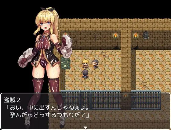 冒険者リリスの鉄拳盗賊退治!(スタジオcute) - FANZA同人