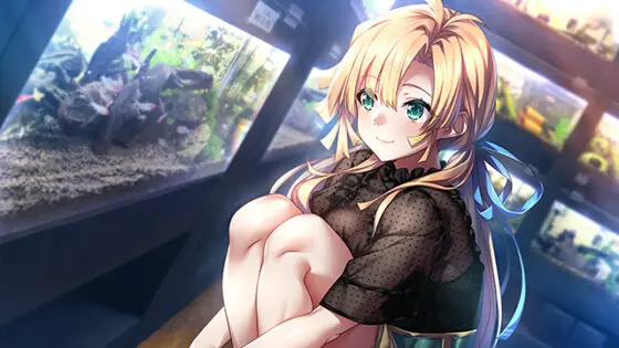 【DL版】アマナツ+ - アダルトPCゲーム - FANZA GAMES