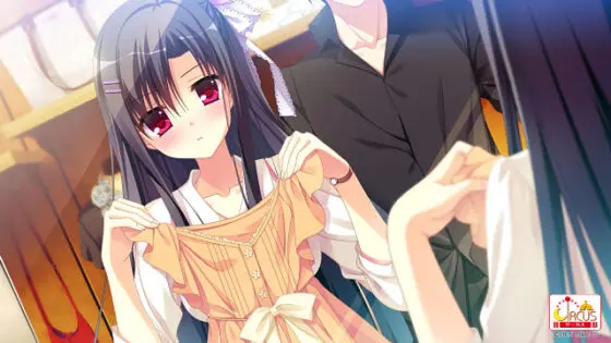 【DL版】D.S. −Dal Segno− & D.S.i.F. −Dal Segno− in Future セット - アダルトPCゲーム - FANZA GAMES