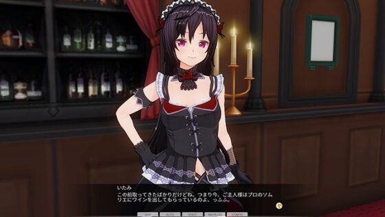 【期間限定】カスタムオーダーメイド3D2&2.5 GP対応性格パック3 [Kiss] | DLsite 美少女ゲーム - R18