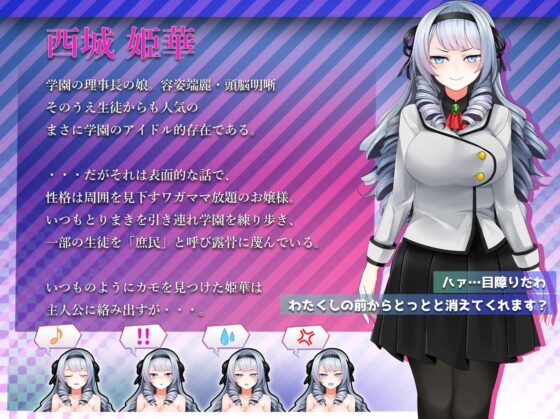 【スマホ版】生意気お嬢様は催○で堕ちる ～学園おさわりシミュレーター～【DL Play Box版】 [第46騎士団] | DLsite