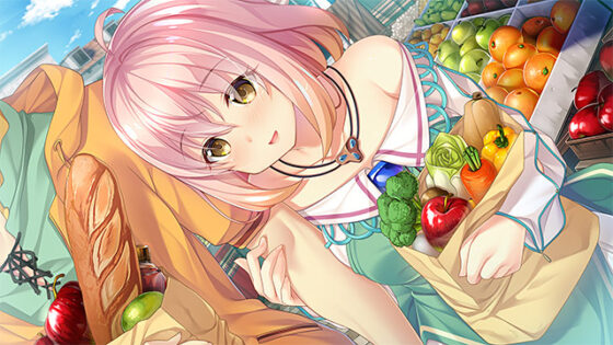 【DL版】HaremKingdom コンプリートセット
