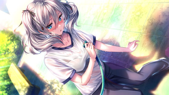 【DL版】アマカノ2セット