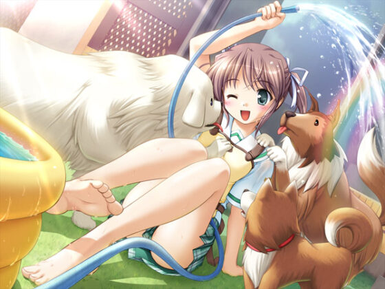 【DL版】夜明け前より瑠璃色な コンプリートパック