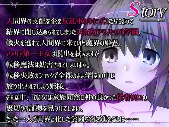 淫魔と裸のお姫様(レベル1)|FANZA同人