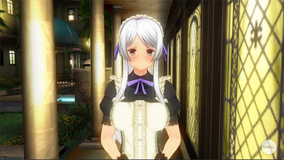 【DL版】カスタムメイド3D2【萌えゲーアワード2015 審査員特別賞 受賞】