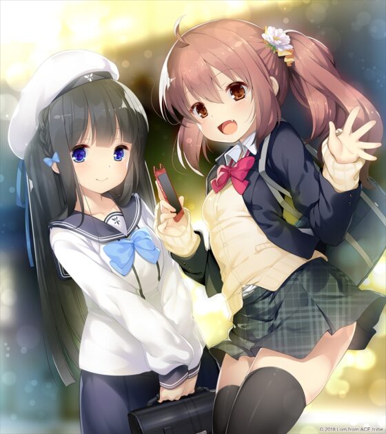 零れ落ちる少女たち ～パパ活JC快楽堕ちの記録～ [Lom:AMUSE CRAFT EROTICA] | DLsite 美少女ゲーム - R18