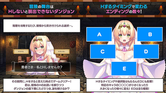 【DL版】勇者さま… 私とHしませんか？ 〜姫様とHをしないと出られないダンジョンに閉じ込められた件について〜