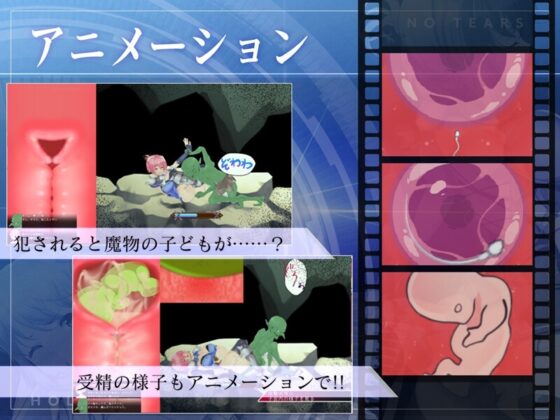 【スマホ版】聖騎士アルネと魔孕の呪印～Another No Tears～【DL Play Box版】 [NoTears] | DLsite