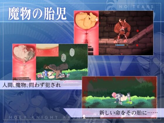 【スマホ版】聖騎士アルネと魔孕の呪印～Another No Tears～【DL Play Box版】 [NoTears] | DLsite