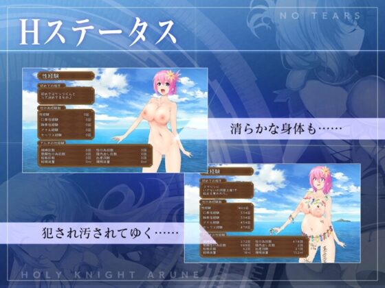 【スマホ版】聖騎士アルネと魔孕の呪印～Another No Tears～【DL Play Box版】 [NoTears] | DLsite