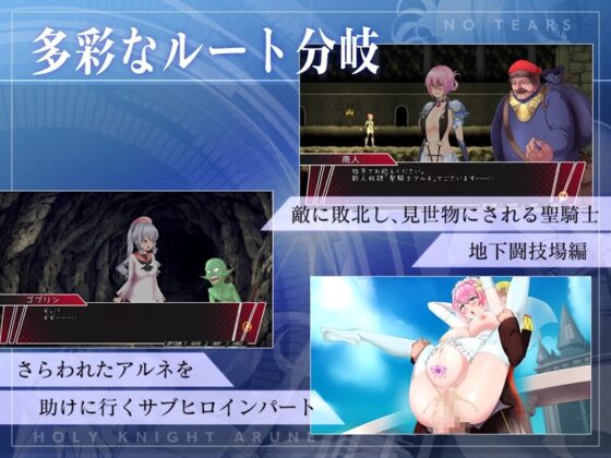 【スマホ版】聖騎士アルネと魔孕の呪印～Another No Tears～【DL Play Box版】 [NoTears] | DLsite