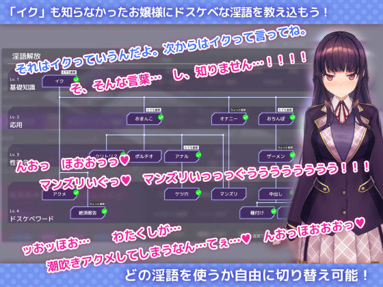 洗脳アプリで清楚なお嬢様をドスケベ調教するシミュレーション(dobuworks)｜FANZA同人
