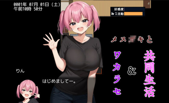 ワカラセハウス(びゅびゅ丸★)｜FANZA同人