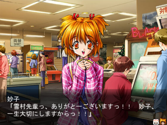 【DL版】あしたの雪之丞【Windows10対応】
