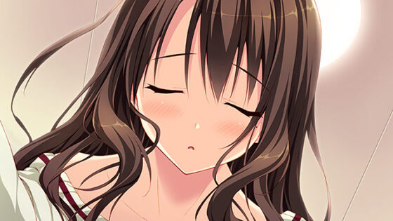 【DL版】学校のセイイキ【萌えゲーアワード2016 エロス系作品賞PINK賞受賞】