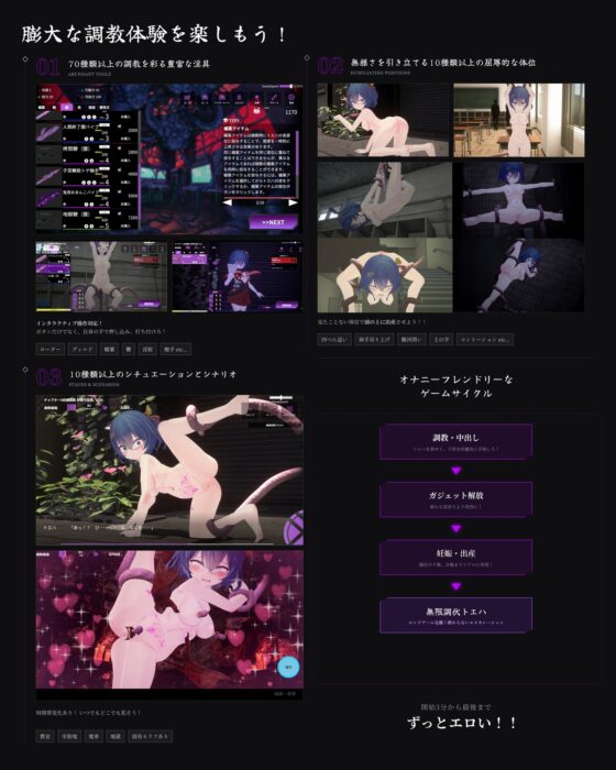 淫穴調伏トエハ ～退魔巫女3Dおさわりシミュレーション～