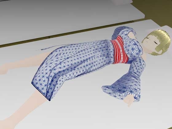 旅館でリリハに夜這いしてみた [flexible] | DLsite 同人 - R18