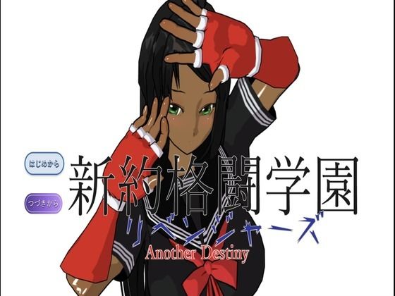 新約格闘学園 リベンジャーズ Another Destiny(宮本プロジェクト) - FANZA同人
