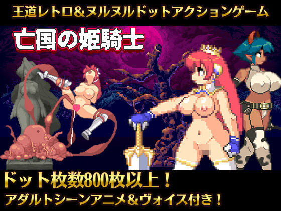 亡国の姫騎士エリスVer1.1(WILD FLOWER) - FANZA同人