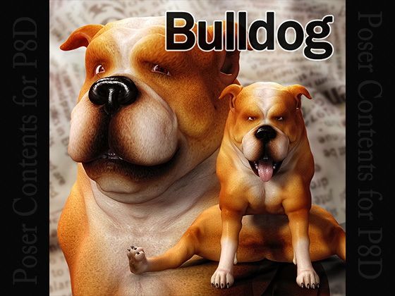 CL-Bulldog for Poser8Dog(Chocoンとこ) - FANZA同人