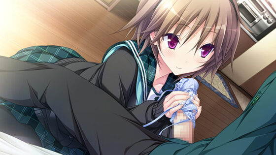 【DL版】ハピメア −Fragmentation Dream−【萌えゲーアワード2014 主題歌賞 受賞】