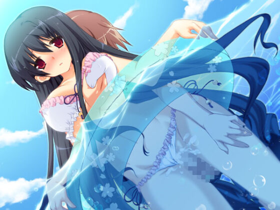 【DL版】アネカノ 〜お姉ちゃんとえっちであまーいヒミツの関係〜 