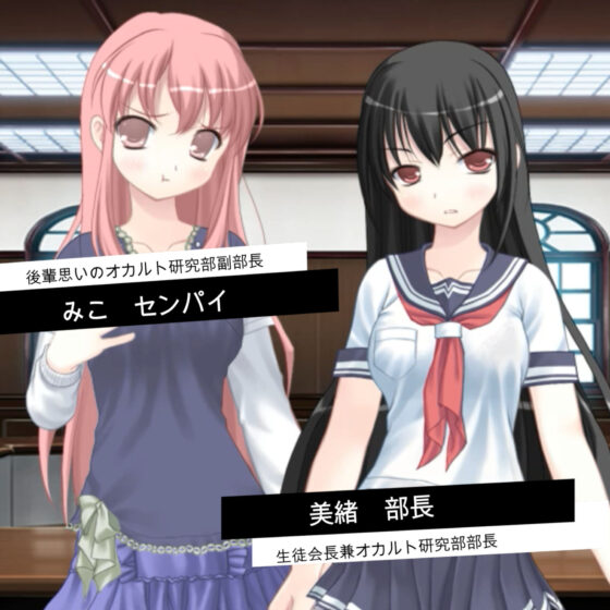 淫魔シュミレーション インキュバス 〜harem in nightmare〜(あるタメ/R18エンタティメント) - FANZA同人