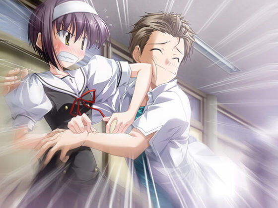 【DL版】ef − the first tale.