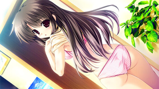 【DL版】プリズム◇リコレクション！【萌えゲーアワード2013 準大賞 受賞】 