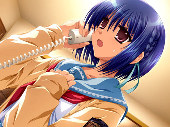 車輪の国、向日葵の少女