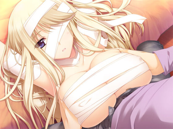 【DL版】LOVELY×CATION2【萌えゲーアワード2013 キャラクターデザイン賞 金賞受賞】 