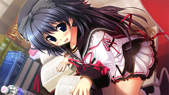 【DL版】カミカゼ☆エクスプローラー！【萌えゲーアワード2011 大賞銀賞 受賞】 