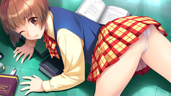 同級生2リメイク【萌えゲーアワード2024 グラフィック賞 受賞】