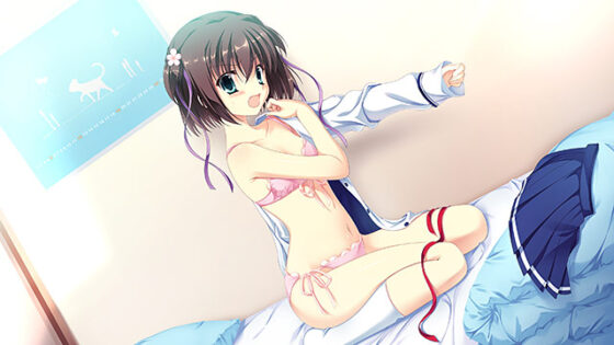 【DL版】D.C.III R 〜ダ・カーポIIIアール〜 X-rated Windows10対応版 