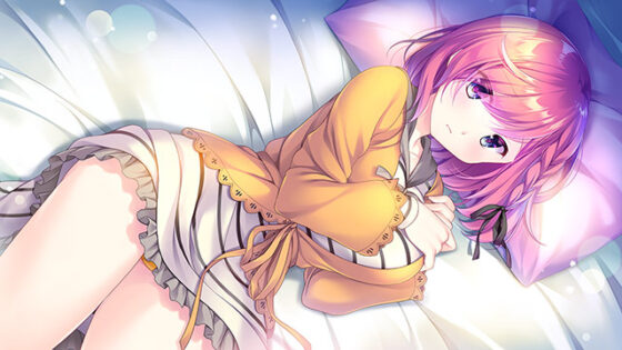 【DL版】Secret Agent 〜騎士学園の忍びなるもの〜 