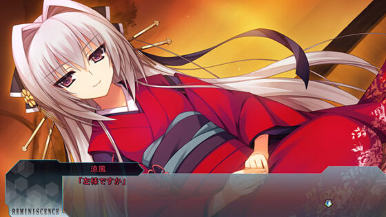 【DL版】レミニセンス Re:Collect【萌えゲーアワード2014 キャラクターデザイン賞 受賞】 