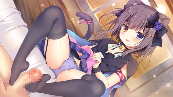 【DL版】あにまる☆ぱにっく 普及版【萌えゲーアワード2019 キャラクターデザイン賞 受賞】 