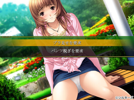 【DL版】愛のチカラ【Windows10対応】 