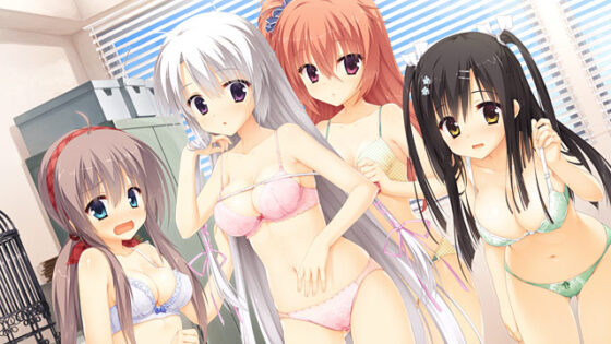 サノバウィッチ【萌えゲーアワード2015 キャラクターデザイン賞 受賞】