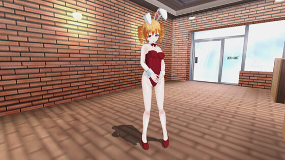 【DL版】3D少女カスタムエボリューション 