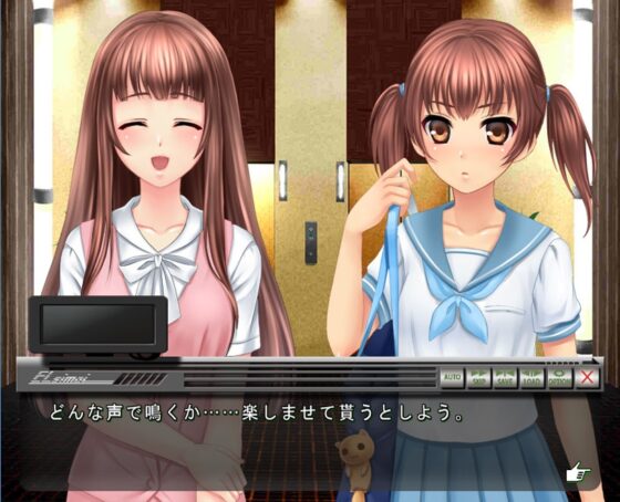 エレベーター姉妹 [ちーむパラデュース] | DLsite 同人 - R18