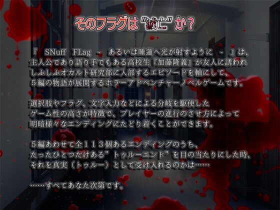 SNuff FLag - あるいは睡蓮へ光が射すように - [KaminGames] | DLsite がるまに