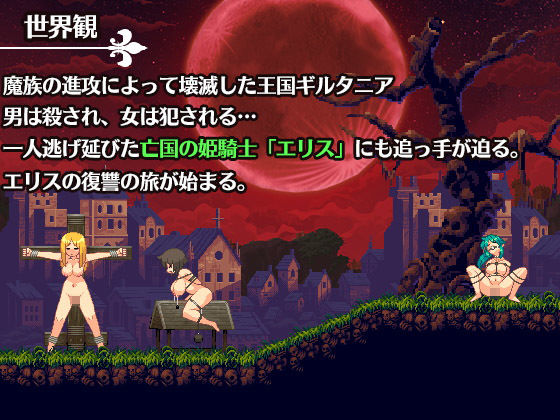 亡国の姫騎士エリスVer1.1(WILD FLOWER) - FANZA同人