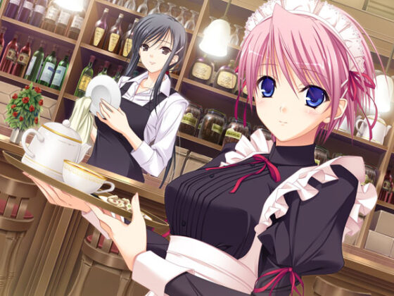 【DL版】ワルキューレロマンツェ 少女騎士物語 