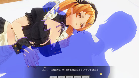 カスタムオーダーメイド3D2 GP-01&GP-02&GP-01 Fb(DL版)